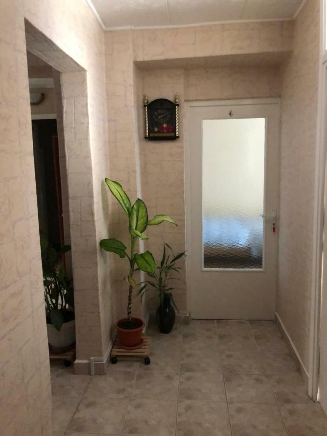 Apartament Da & Do Kluż-Napoka Zewnętrze zdjęcie